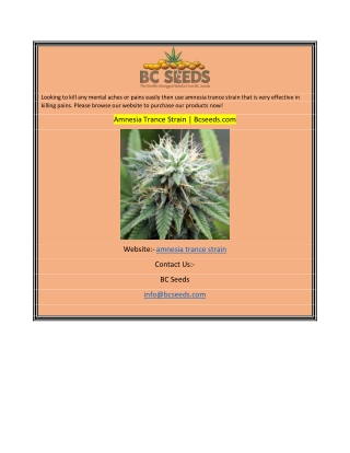 Amnesia Trance Strain  Bcseeds.com
