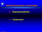 Anticholinesterase Insecticides
