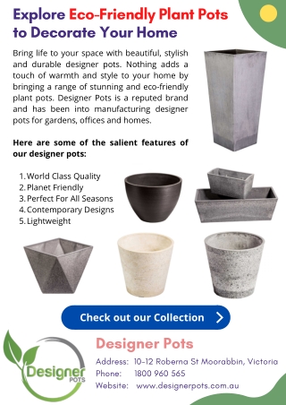 Explore Eco-Friendly Plant Pots  to Decorate Your Home