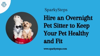 Hire an Overnight Pet Sitter to Keep Your Pet Healthy and Fit | SparkySteps