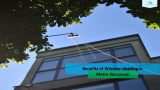 Benefits of Window Cleaning in Metro Vancouver