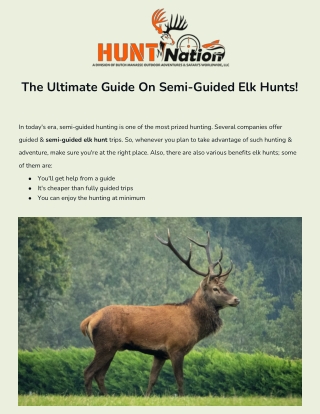 Elk Hunting Outfitters In New Mexico | Hunt Nation