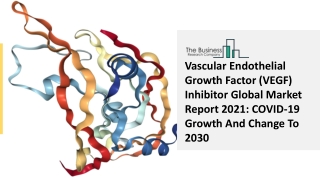 Vascular Endothelial Growth Factor (VEGF) Inhibitor Market Size, Share