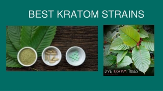Best Kratom Strains