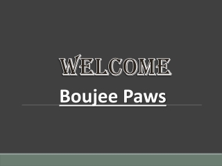 Get the best Pet Nail Clipping in Thurncourt