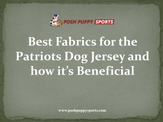 Best Fabrics for the Patriots Dog Jersey and how it’s Beneficial