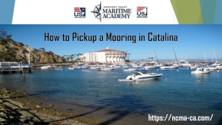 Top Label How to Pick up a Mooring in Catalina, USA