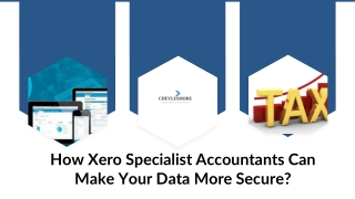 Xero Accountant