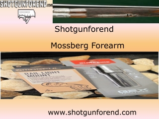 Mossberg Forearm