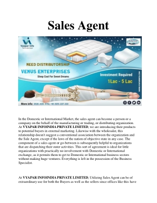 vyaparinfo-sales-agent