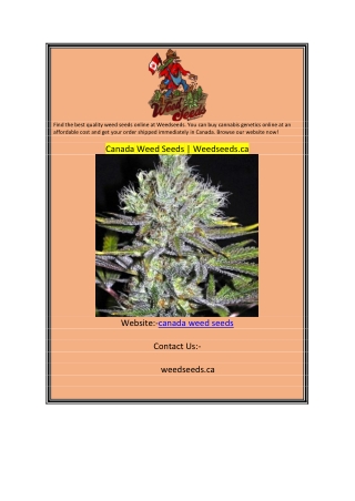 Canada Weed Seeds  Weedseeds.ca