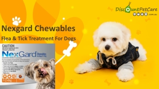 Buy Nexgard Chewables For Dogs Online - DiscountPetCare