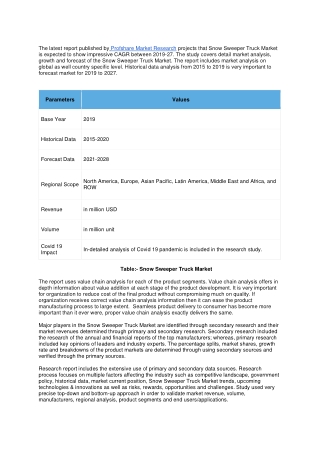 Snow Sweeper Truck Market