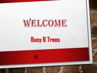 Busy B tree