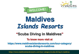 Scuba Diving in Maldives