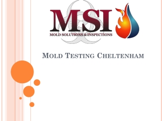 Mold Testing Cheltenham