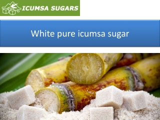 White pure icumsa sugar