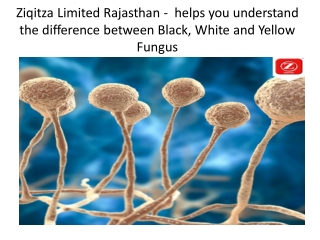 Ziqitza Limited Rajasthan -  helps you understand the difference between Black, White and Yellow Fungus