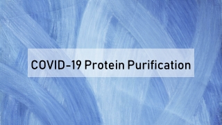 COVID-19 Protein Purification
