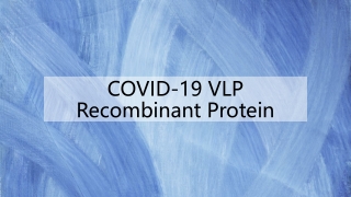 COVID-19 VLP Recombinant Protein