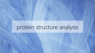 protein structure analysis