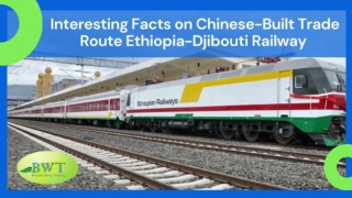 Chinese-Built Trade Route Ethiopia-Djibouti Railway | International Trade