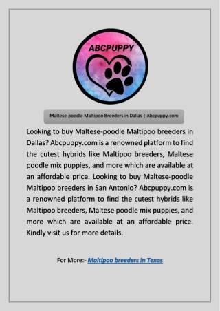 Maltipoo Breeders in Texas | Abcpuppy.com