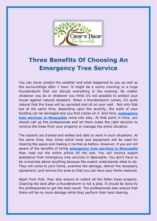 Three Benefits Of Choosing An Emergency Tree Service