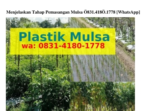 Menjelaskan Tahap Pemasangan Mulsa Ö8ᣮl.4l8Ö.lᜪᜪ8{WhatsApp}