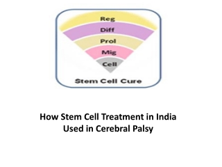 How Stem cell Treatment in India used in Cerebral palsy