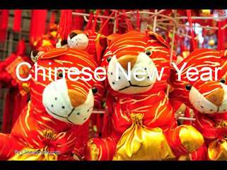 Chinese New Year Photos