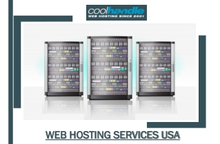 Web Hosting Services USA