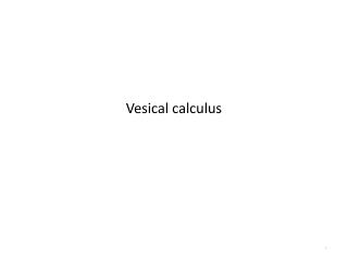 Vesical calculus