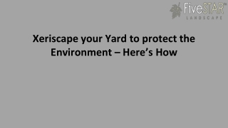 Xeriscape your Yard to protect the Environment – Here’s How