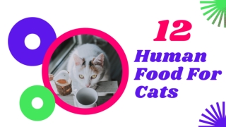 12 Human Foods That Are Safe For Your Cat to Eat 2021 ! Cat Health Tips