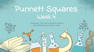 Punnett Squares