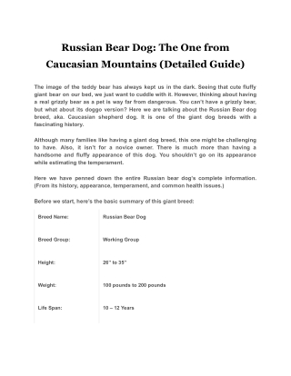 Russian Bear Dog The One from Caucasian Mountains (Detailed Guide)