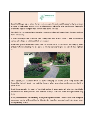 Paver Cleaning Glen Ellyn  Grassroots Landscape Specialties