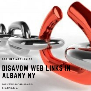 Disavow Web Links in Albany NY