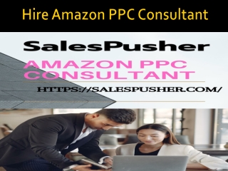 Hire Amazon PPC Consultant