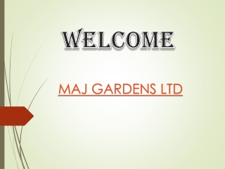 Best Garden Building in Hendon