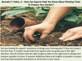 Benedict T. Palen, Jr - How Can Experts Help You Know About Planting Tricks To P