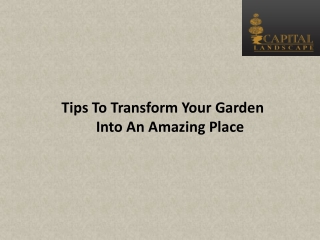 Tips To Transform Your Garden Into An Amazing Place