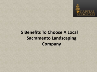 5 Benefits To Choose A Local Sacramento Landscaping Company