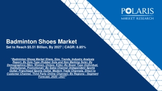 Badminton Shoes Market 2020 Industry Challenges, Business Overview and Forecast