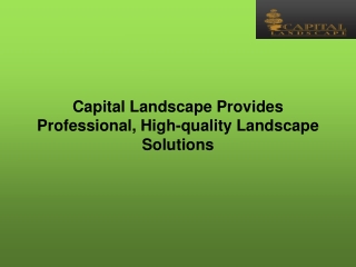 Capital Landscape Provides Professional, High-quality Landscape Solutions