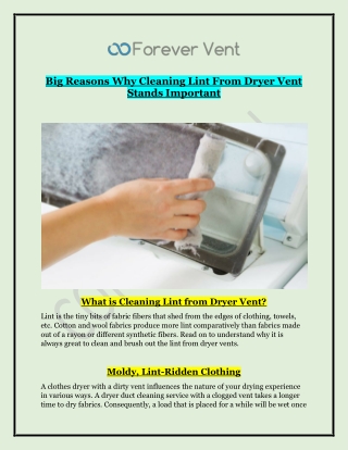 Cleaning Lint from Dryer Vent | Forever Vent