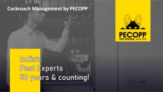 Cockroach Management by PECOPP