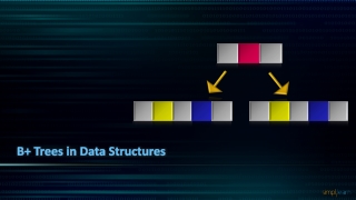 B Trees In Data Structures | Introduction To B Trees | Data Structures Tutorial