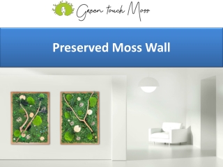 Preserved Moss Wall